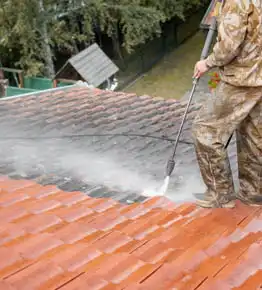 Nettoyage demoussage de toiture  33